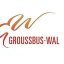 gemenggroussbuswal