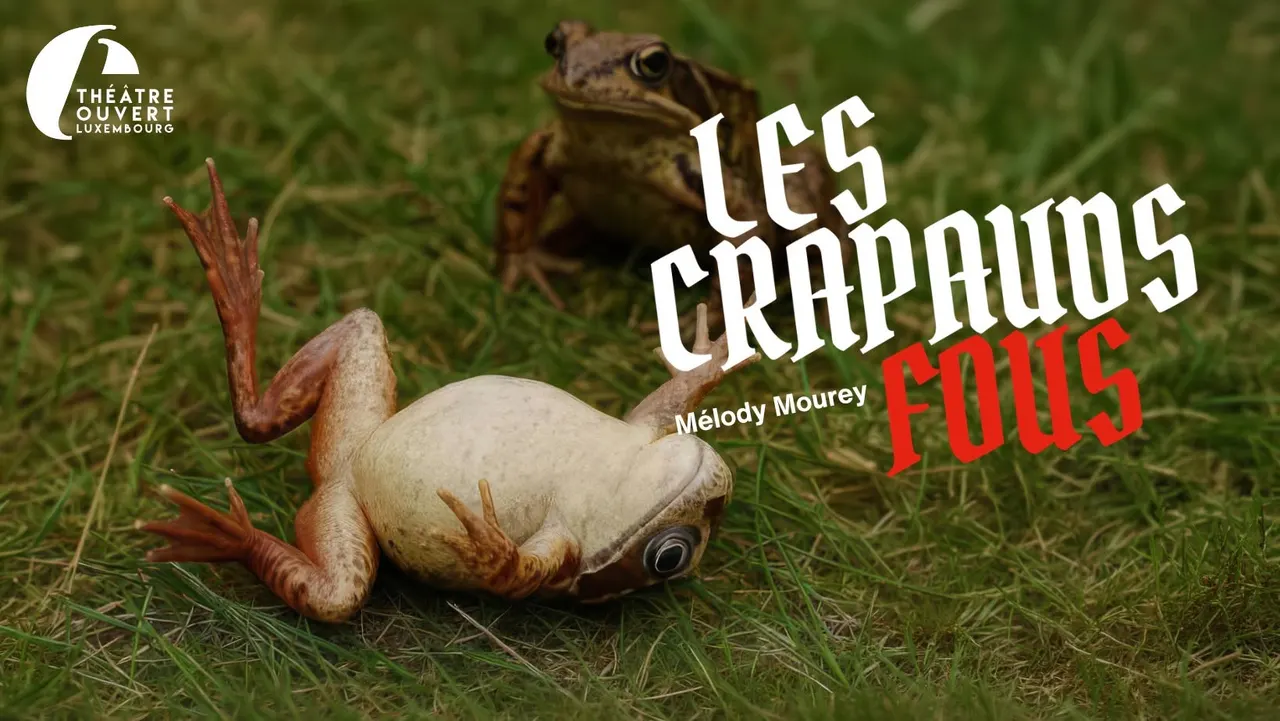 Les Crapauds fous de Mélody Mourey