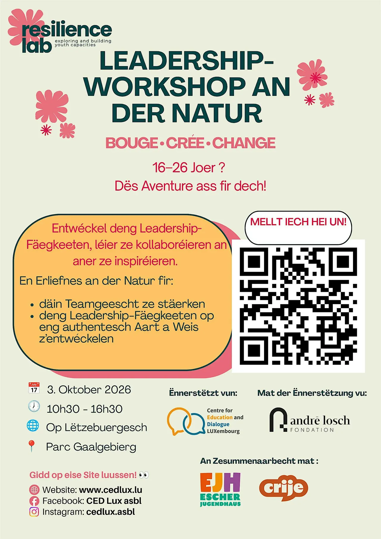 Atelier Leadership en Plein Air
