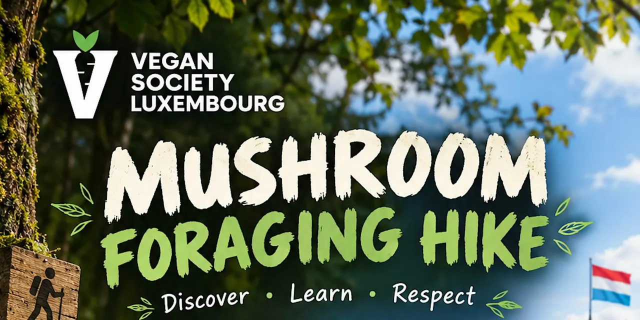 Mushroom Foraging Hike