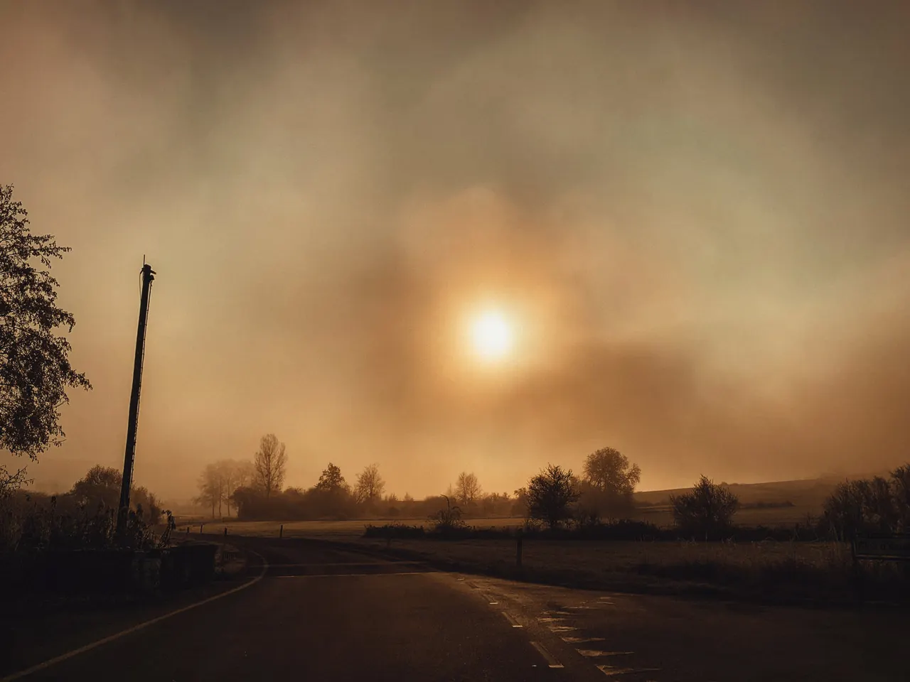 A blaze of mutes rainy days 2026 / from the collection of monica germino