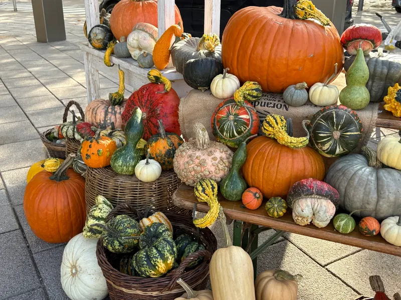 Hierschtmoart / Marché d'automne