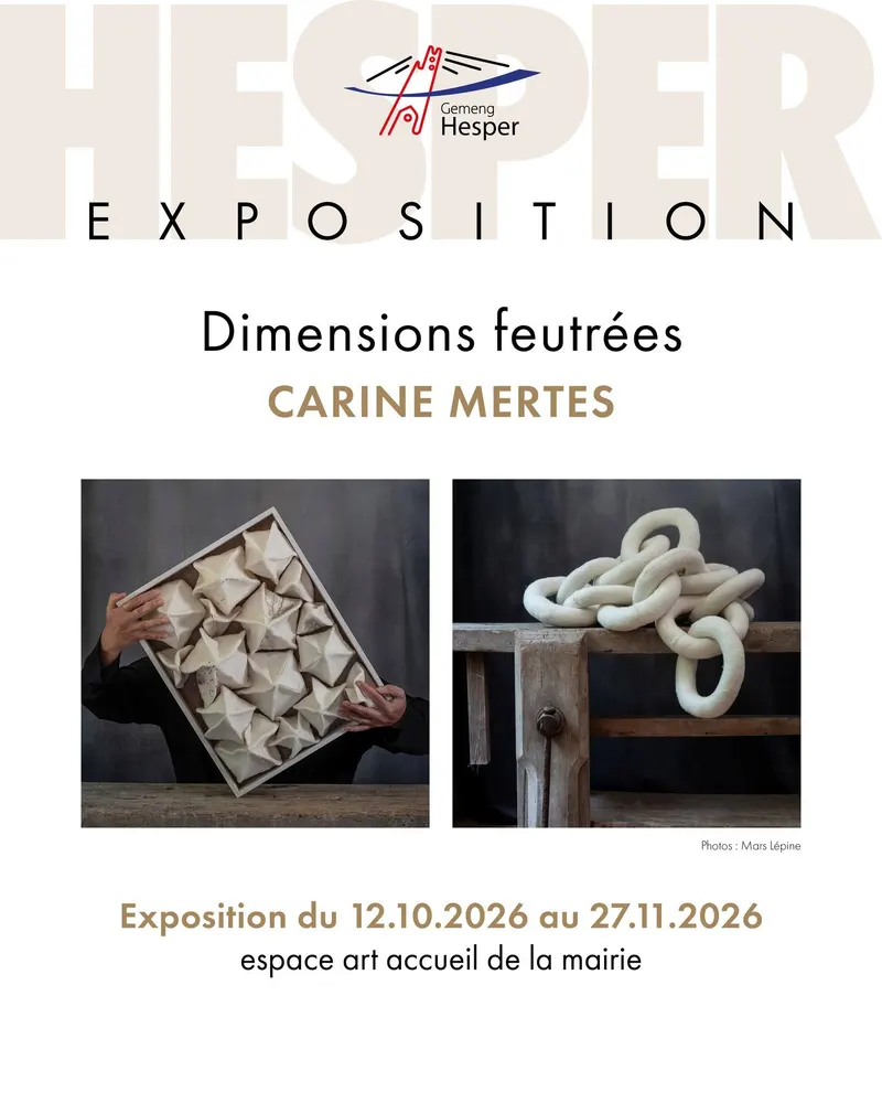 Exposition 'Dimensions feutrées' de Carine Mertes