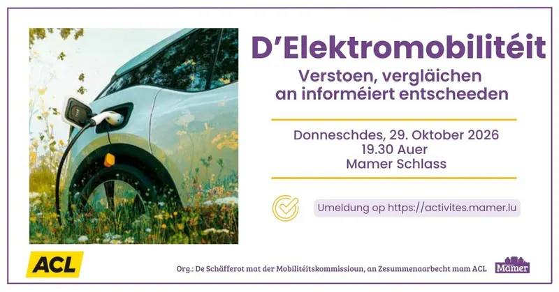 Konferenz iwwer elektromobiliteit verstoen verglaeichen an informeiert entscheeden